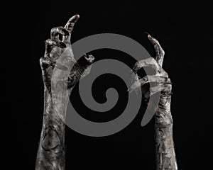 Black hand of death, the walking dead, zombie theme, halloween theme, zombie hands, black background, mummy hands