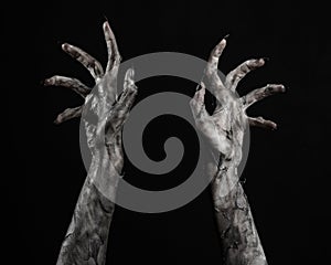 Black hand of death, the walking dead, zombie theme, halloween theme, zombie hands, black background, mummy hands