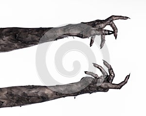 Black hand of death, the walking dead, zombie theme, halloween theme, zombie hands, white background, mummy hands