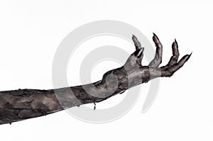 Black hand of death, the walking dead, zombie theme, halloween theme, zombie hands, white background, mummy hands