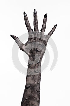 Black hand of death, the walking dead, zombie theme, halloween theme, zombie hands, white background, mummy hands