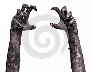 Black hand of death, the walking dead, zombie theme, halloween theme, zombie hands, white background, mummy hands