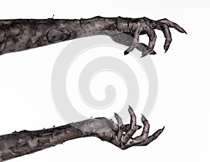 Black hand of death, the walking dead, zombie theme, halloween theme, zombie hands, white background, mummy hands