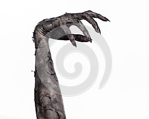 Black hand of death, the walking dead, zombie theme, halloween theme, zombie hands, white background, mummy hands