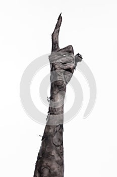 Black hand of death, the walking dead, zombie theme, halloween theme, zombie hands, white background, mummy hands