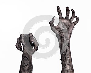 Black hand of death, the walking dead, zombie theme, halloween theme, zombie hands, white background, mummy hands