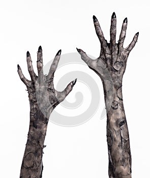 Black hand of death, the walking dead, zombie theme, halloween theme, zombie hands, white background, mummy hands