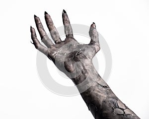 Black hand of death, the walking dead, zombie theme, halloween theme, zombie hands, white background, mummy hands