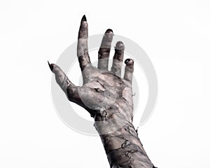 Black hand of death, the walking dead, zombie theme, halloween theme, zombie hands, white background, mummy hands