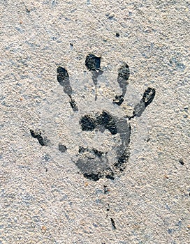 Black Handprint on the ground