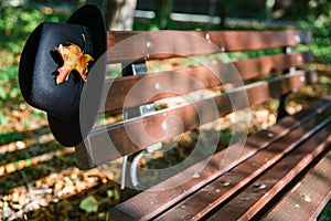 Black hat with yellow maple leaf on bench in autumn park