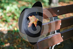 Black hat with yellow maple leaf on bench in autumn park