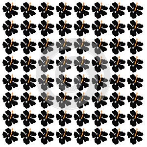 Black Hawaii Flowers Pattern Texture Wallart