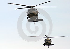 Black hawk