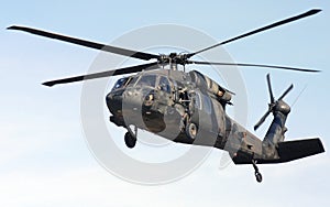 Black hawk