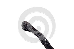 Black head of a burnt match close up, isolated