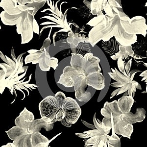 Black Hibiscus Backdrop. White Flower Set. Watercolor Textile. Floral Illustration. Seamless Plant. Pattern Texture. Tropical Text
