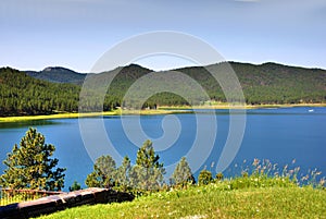 Black hills forest in south Dakota