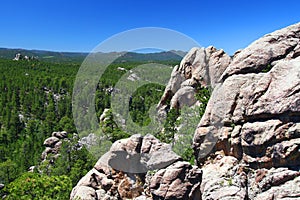 Black Hills National Forest