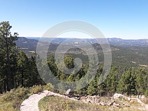 Black Hills South Dakota landscape trees and mountains