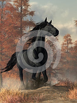 Black Horse