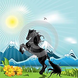 Black horse