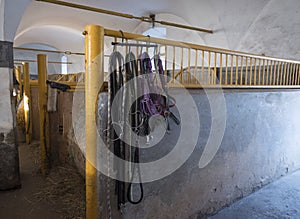 Black horse bridles hanging from empty stable stall in historical baroque farm house, natural sun light