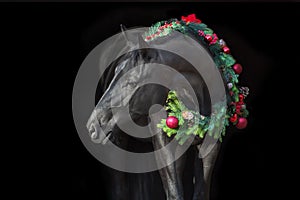 Horse in christmas decoration