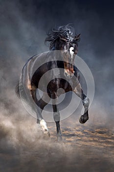 Black horse in dust