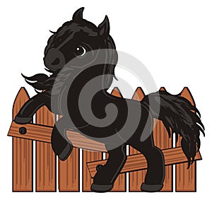 Black horse and fence