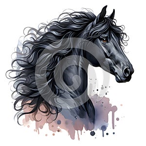 Black horse. Head. Stallion. Portrait. Watercolor. Isolated illustration on a white background. Banner. Close-up