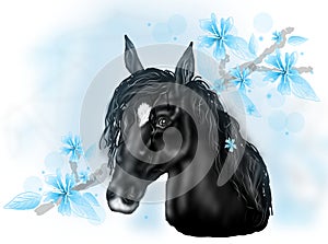 Black horse illustration with blue flowers
