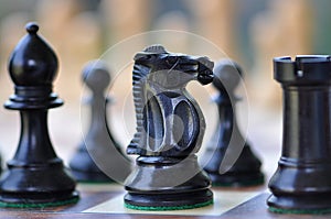 Black Horse Knight, Bishop, castle and pawns from Chess