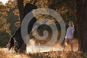 Black horse rearing up in front of beautiful blond young woman standing on ground in sunset sunlight