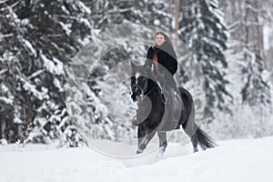 Black Horse running in snow on Winter background