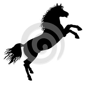 Black horse silhouette