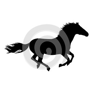 The black horse silhouette on white background