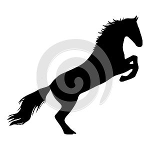 The black horse silhouette on white background