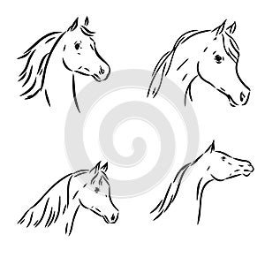 A black horse sketch, vector, color drawing or illustration.