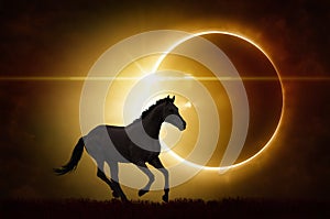 Black horse on total solar eclipse background