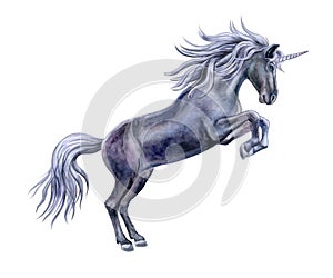 Black horse is a unicorn isolated on white background. Watercolor