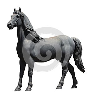 Black horse on a white background
