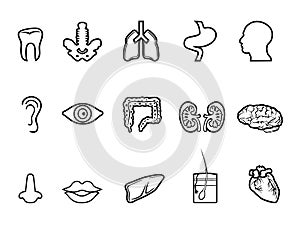 Black human anatomy outline icon