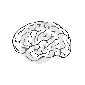 Black human brain isolated on white background. Human brain lateral view. Awareness mental health month. Symbol of