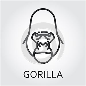 Black icon style line art, head wild animal ape, gorilla.