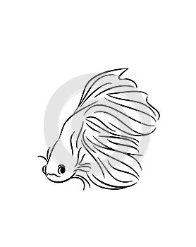 Black ink doodle line drawing of Siamese fighting betta fish icon isolated on white background.