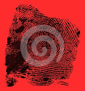 Black ink fingerprint on red background. Human fingerprint. Criminal style