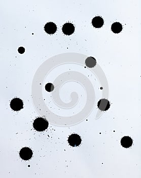 Black ink splashes on white textured paper for brushes and graphic design