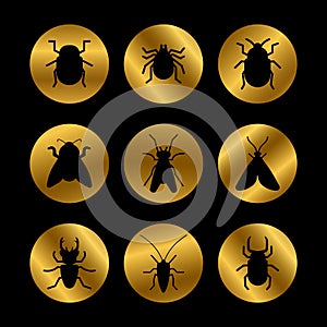 Black insects silhouette on golden rounds