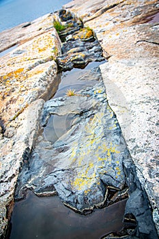 Black intrusive igneous basalt dike rock at Schoodic Point in Acadia National Park photo